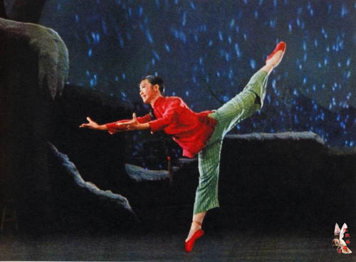 怎么买南非护照扫描件